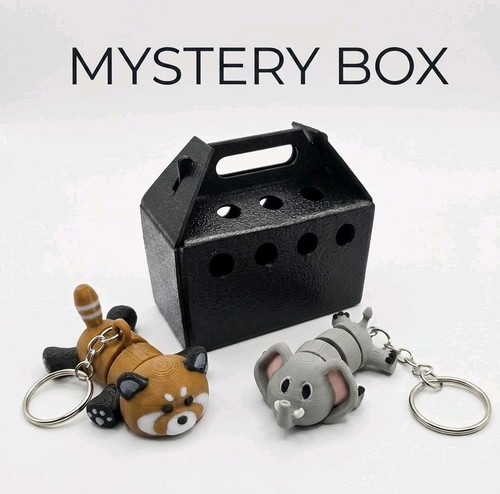 Mystery pet box with - pet,